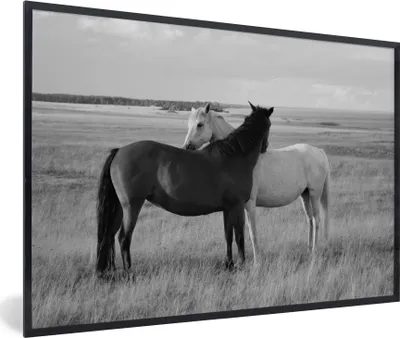 Produktbild von MuchoWow® Gerahmtes Poster Pferde - Tiere - Porträt - Schwarz-Weiß - Landleben 90x60 cm - Poster mit Schwarzem Bilderrahmen Wandposter Rahmen Foto Bilder - Fotorahmen - Foto-Plakat