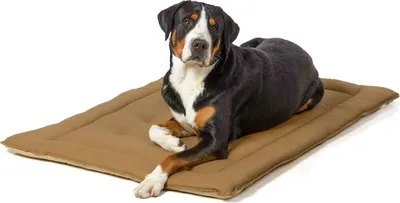Produktbild von gepolsterte Wendedecke 130 x 90 cm, beige/braun bei 95°C waschbar für Hunde