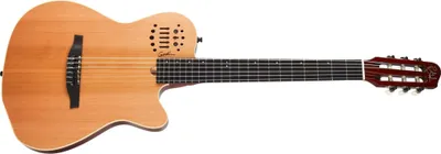 Obrázok produktu pre Godin Multiac ACS-SA Nylon Natural SG