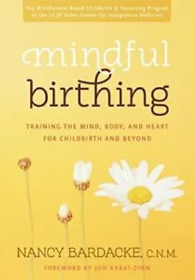 Productafbeelding van Mindful Birthing