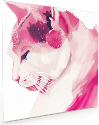 Produktbild von Küchenrückwand Spritzschutz Glas mit Motiv Katzenportrait 40 x 40 cm