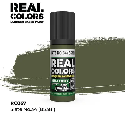 Produktbild von AK Interactive REAL COLORS Slate No.34 (Bs381) 17 ml.