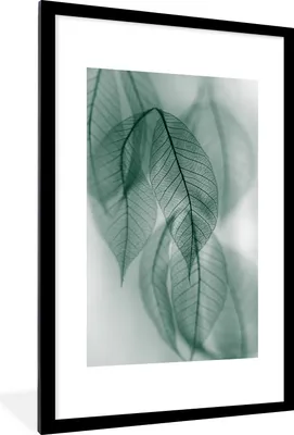 Obrázok produktu pre MuchoWow® Zarámovaný plagát - Listy - Zelená - Príroda - Zátišie - 60x90 - Nástenný plagát v ráme Fotografia