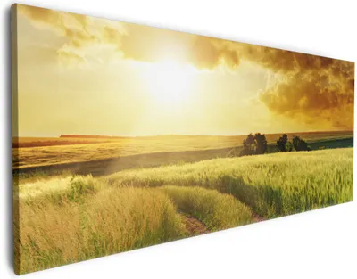 Produktbild von Wallario Premium Leinwandbild Feldweg in den Sonnenuntergang in Größe 80 x 200 cm