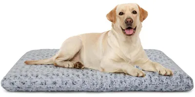 Image de Tapis pour chien, 90x60x8 cm, gris, moelleux, antidérapant, lavable