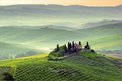 Produktbild von Wallario selbstklebendes Poster - Toskana in Italien, Größe: 61 x 91,50 cm