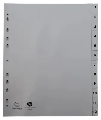 Produktbild von Exacompta 20x Register A4 grauem RC-PP 120µ Taben 1-12 12 Positionen Grau 1912E