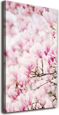 Produktbild von Tulup Leinwandbild® - 70x140cm - Wandkunst - Drucke auf Leinwand - Leinwanddruck - Wohnzimmer Wanddekoration XXL - Wohnung Deko Kunstdrucke - Blumen & Pflanzen - Rosa - Magnolie Blumen