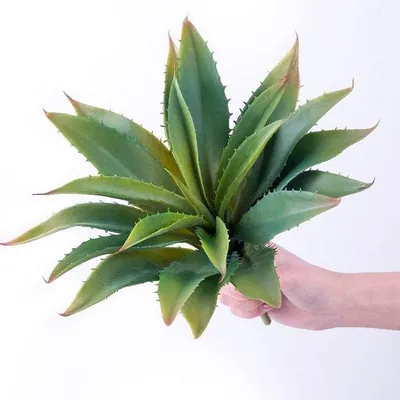 Obrázok produktu pre Umelá rastlina aloe vera, 12,5 palca, zelená, dekoratívna