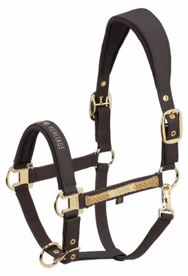 Produktbild von Eskadron Halfter FAUX LEATHER DOUBLE PIN black truffle Heritage HW 25/26, Größe:P2