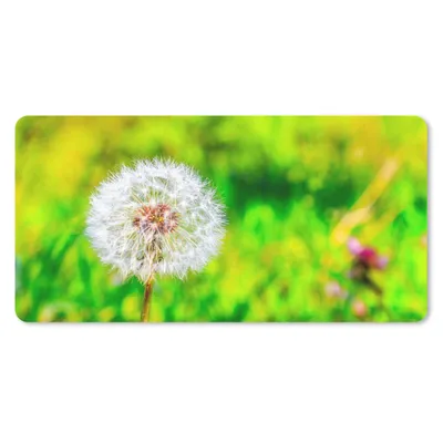 Produktbild von MuchoWow® Mauspad Mousepad Löwenzahn - Gras - Blume 60x30 cm - Mousepads - Maus Mat - Pad - Mausunterlage - Nachhaltig