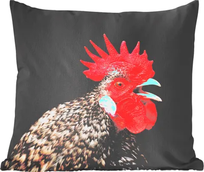 Produktbild von MuchoWow® Zierkissen Sofakissen Wohnzimmer Dekokissen 60x60 cm Krähender Hahn - Sitzfläche - Foto Polster