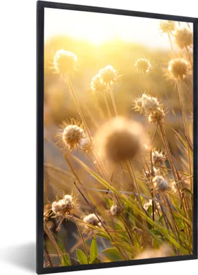 Produktbild von MuchoWow® Gerahmtes Poster Pflanzen - Natur - Blumen - Sonne - Horizont 60x90 cm - Poster mit Schwarzem Bilderrahmen Wandposter Rahmen Foto Bilder - Kunst