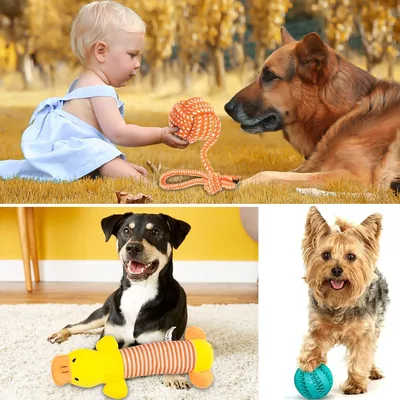 Image de Jouets interactifs pour chiens - Set de 20 jouets à mâcher durables et sûrs pour petits, moyens et grands chiens