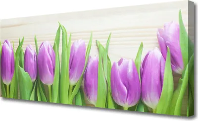 Produktbild von Tulup Leinwand-Bilder 125x50 Wandbild Canvas Kunstdruck Tulpen Pflanzen