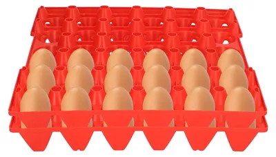 5 Kunststoff-Eiertabletts, 30 Eier, Eierkartonhalter, rot