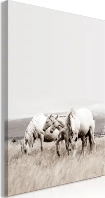 Produktbild von Vliesstoff Leinwandbild - White Horses (1 Part) Vertical 60x90 cm Tiere g-B-0231-b-a