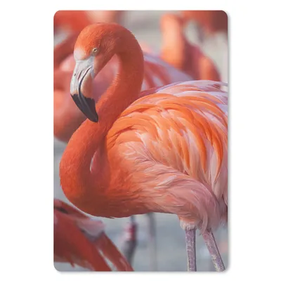 Produktbild von MuchoWow® Mauspad Mousepad Flamingo - Vogel - Tiere - Rosa 18x27 cm - Mousepads - Maus Mat - Pad - Mausunterlage