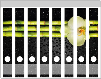 Produktbild von Wallario Ordnerrücken Sticker, selbstklebend für schmale Ordner, 8 Stück, Motiv Grüne Orchidee mit Bambus auf schwarz - Regentropfen
