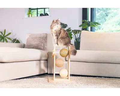 Image de Designed by Lotte Arbre à chat pour chats en forme de balle, y compris canne à ressort