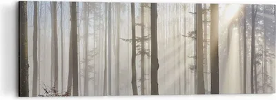 Produktbild von Bild auf Leinwand - Leinwandbild - Wald Baum Natur - 120x40cm - Wand Bild - Wanddeko - Wandbilder - Leinwanddruck - Bilder - Kunstdruck - Wanddekoration - Leinwand bilder - Wandkunst - CA120x40-3749