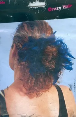 Produktbild von Crazy Hair Haarferdern schwarz Solida