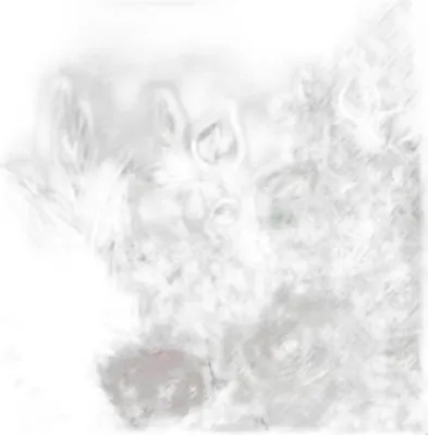 Zdjęcie produktu dla Serwetki Paw 33X33 Cm 20 Sztuk