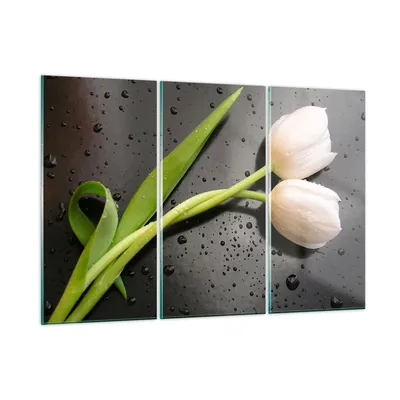 Produktbild von Bilder auf glas - Tulpen Blume Pflanzung Pflanze - 165x110cm - Glasbilder - Wandbilder - Kunstdruck - zum Aufhängen bereit - Wanddekoration aus Glas - Glas Bilder - Wandbild auf Glas - GCE165x110-2301