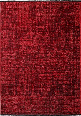 A close-up, top-down view of a red and black textured rug.