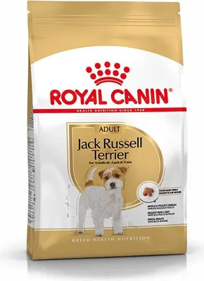 Immagine prodotto di Royal Canin Breed Jack Russell 3 kg