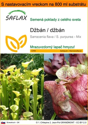 Obrázok produktu pre SAFLAX Garden in the bag - džbán / džbán - Sarracenia flava / S. purpurea - Mix - 10 Semená - S pestovateľským substrátom v praktickom samostaviteľnom vrecku