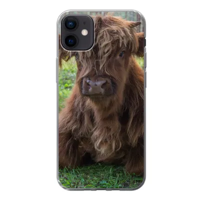 Produktbild von MuchoWow® Handyhülle Schutzhülle Hülle für iPhone 12 mini Schottischer Highlander - Kröte - Tiere Silikon Softcase Handy Hülle - Bild