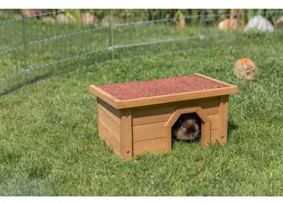 Produktbild von TRIXIE Kleintierhaus - 40 × 20 × 28 cm