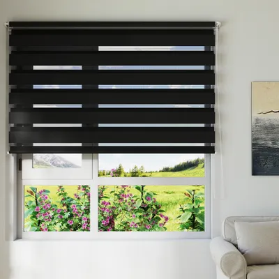 Image de LARS360 Zebra Rollo Noir 70x220 cm - Klemmfix double store sans percer, opaque & translucide, protection visuelle avec chaînette pour fenêtres & portes