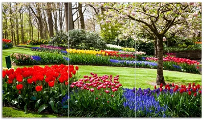 Produktbild von Wallario Herdabdeckplatte aus Glas, Größe 90 x 52 cm 3-teilig, Motiv Bunte Blumen und Kirsch-Baum im Park blühen im Frühling