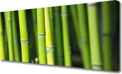 Produktbild von Tulup Leinwand-Bilder 125x50 Wandbild Canvas Kunstdruck Bambusrohr Natur