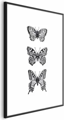 Produktbild von Posterpapier Poster - Three Butterflies 21x30 cm Tiere g-B-0116-ao-a