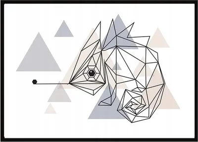 Obrázek produktu pro Obrazový plakát v rámu 53x73 cm Kameleon P1004
