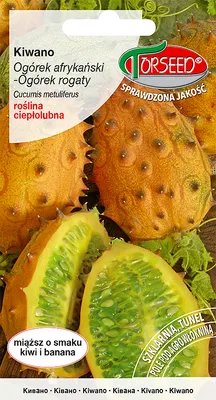 Produktbild von Kiwano Samen - Torseed