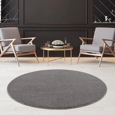 Image de Tapis de salon Unicolore, tapis uni pour le bureau, l'entrée et la cuisine - tapis à poils courts Taille : 160 x 160 cm, Gris clair