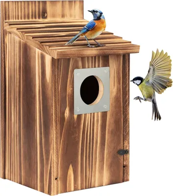 Imagen del producto de Caja nido con protección metálica, madera carbonizada, ideal para arrendajos azules, carboneros, golondrinas, jilgueros, para uso en