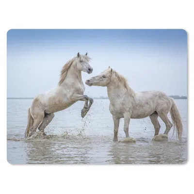 Produktbild von MuchoWow® Mauspad Mousepad Zwei Pferde im Wasser in der Camargue 40x30 cm - Mousepads - Maus Mat - Pad - Mausunterlage - Anti Rutsch