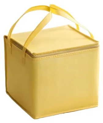 Immagine prodotto di Borsa termica per il trasporto refrigerato degli alimenti