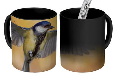 Obrázek produktu pro MuchoWow® Kouzelný pohár Létající sýkora koňadra 350 ml Barva měnící se pohár Dárkový nápad - foto hrnek