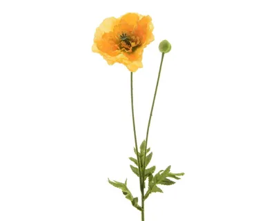 Produktbild von Blume Seidenblume Mohnblume mit Knopse gelb