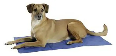 Produktbild von KERBL Kühlmatte für Hunde, blau 50x40cm