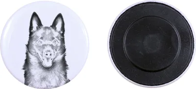 Image de Schipperke aimant avec petit chien Art-Dog