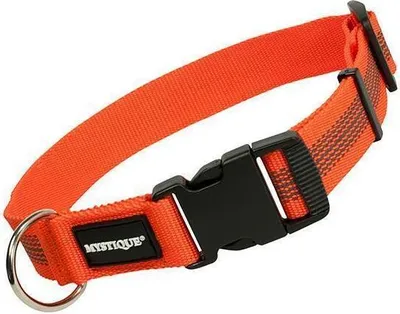 Produktbild von Mystique Gummiertes Halsband 30-40cm 30mm orange