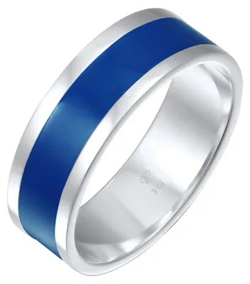 Productafbeelding van Zilveren Bandring voor Mannen met Emaillestrepen van 925 Sterling Zilver