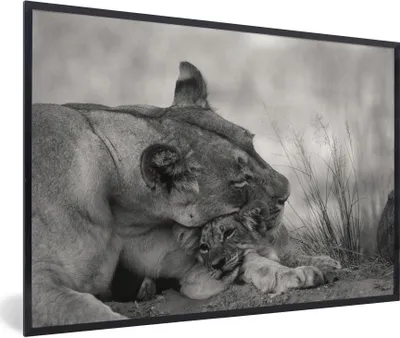 Produktbild von MuchoWow® Gerahmtes Poster Löwin - Jungtier - Schwarz 90x60 cm - Poster mit Schwarzem Bilderrahmen Wandposter Rahmen Foto Bilder - Fotorahmen - Foto-Plakat